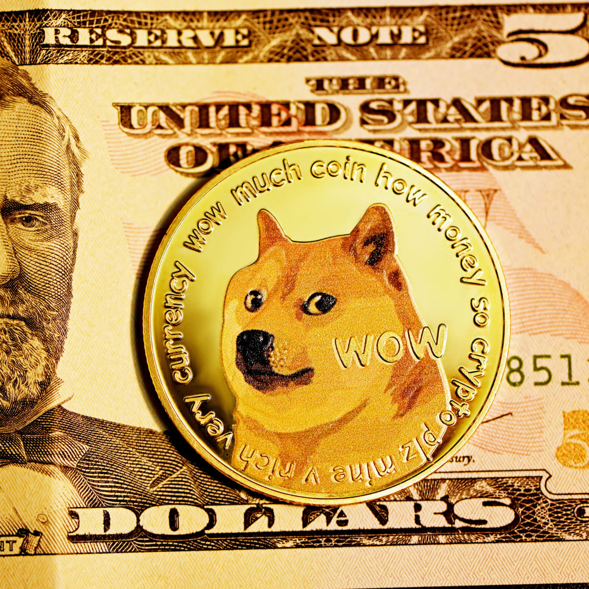 DOGE in USD, convert Dogecoin in $ (USD)