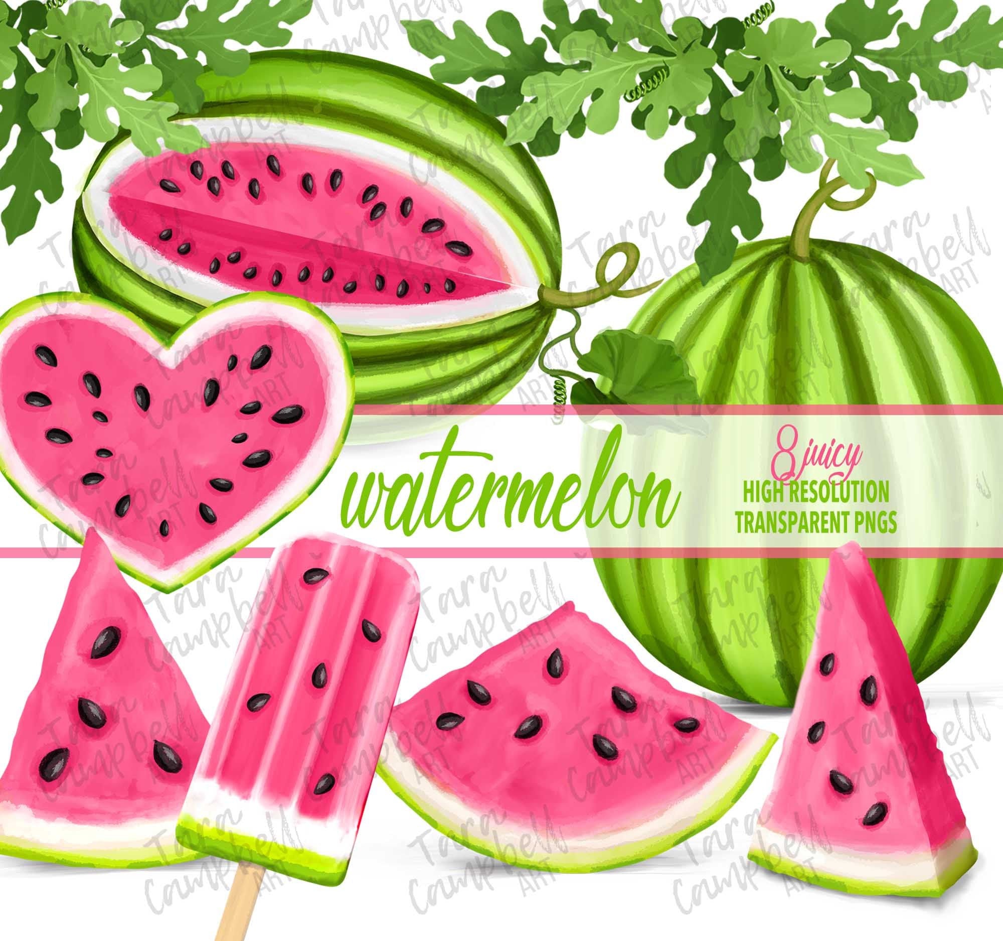 Watermelon Gummy Cbd Rings - ﻿Family Health Bureau