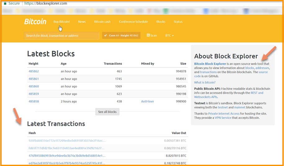 Top Richest Bitcoin Addresses and Bitcoin distribution