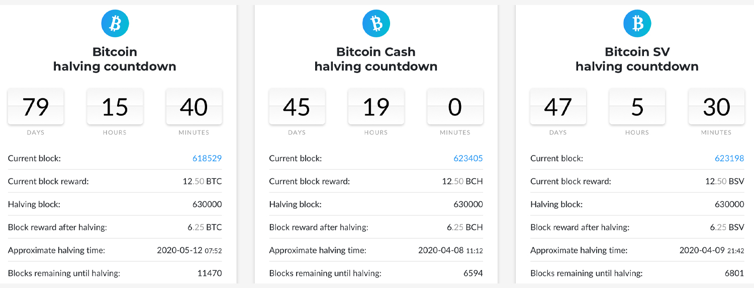 Upcoming Bitcoin Cash Halving Date - BCH Halving Countdown