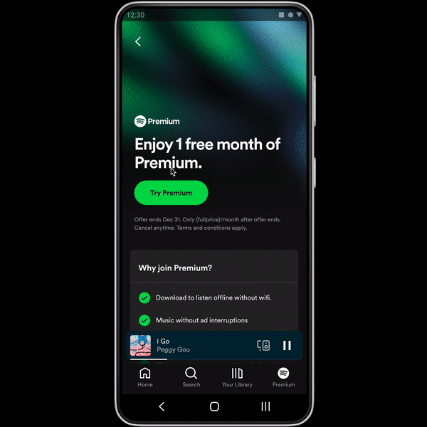 Why can't I get Premium in the app? - Spotify