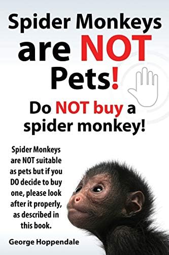 Buy Animal Lover Super Suede Cap Online – Urban Monkey®