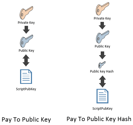 P2PKH Pay-to-Public-Key-Hash Script in Bitcoin