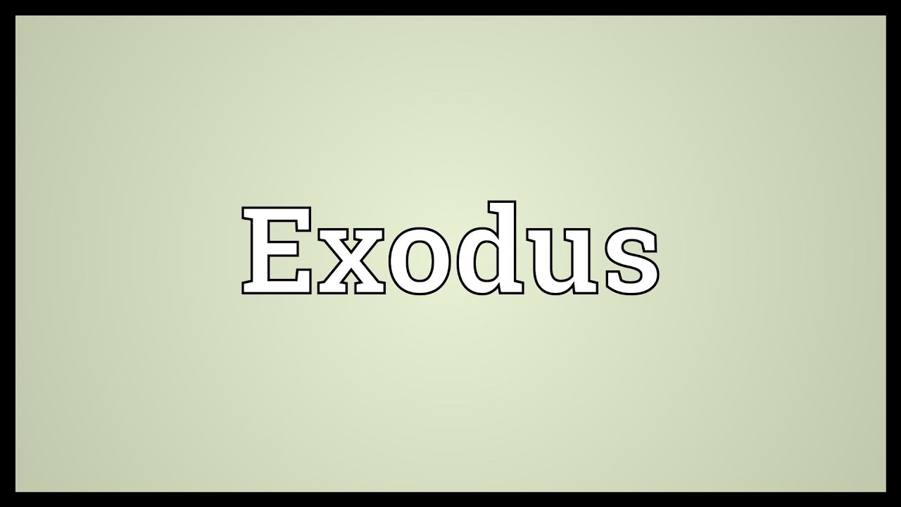 EXODUS | meaning - Cambridge Learner's Dictionary