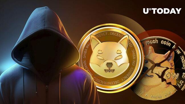 DOGE to ZAR (Dogecoin to South African Rand) | convert, exchange rate