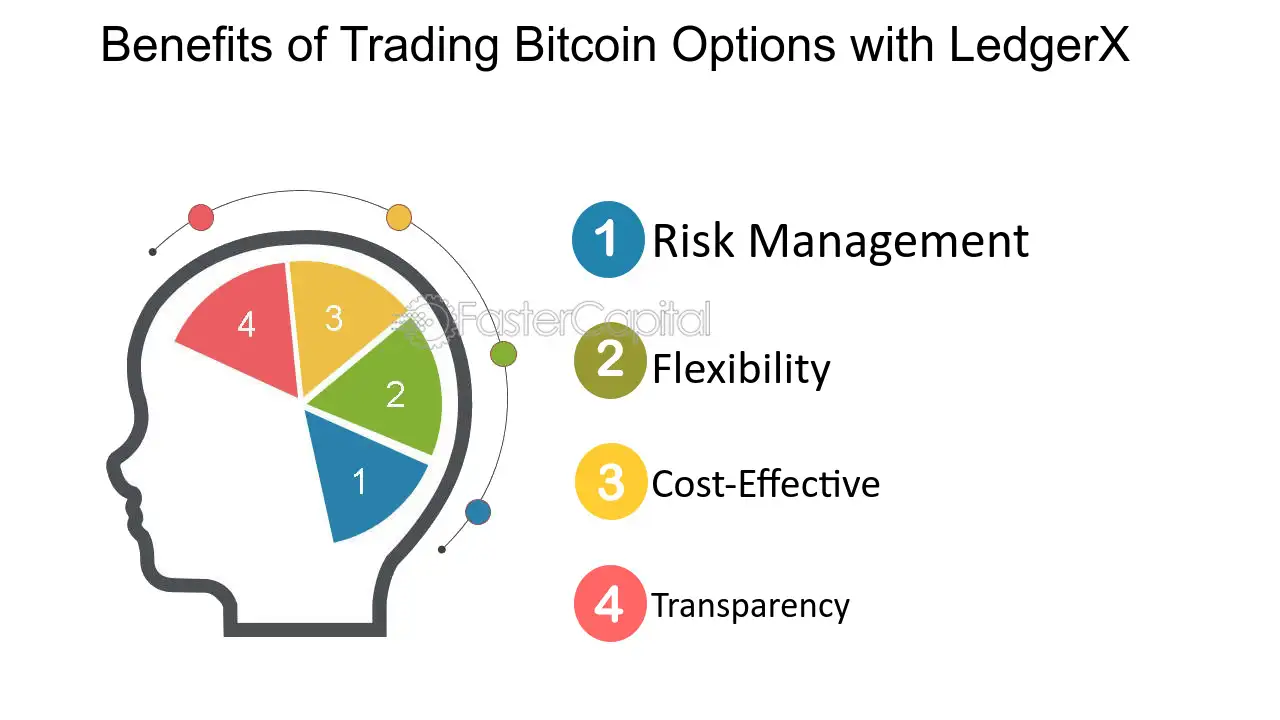 Enhancing your crypto portfolio with LedgerX options - FasterCapital