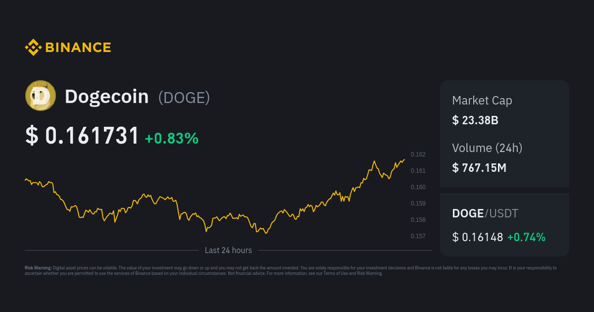 DOGEUSD | Dogecoin USD Overview | MarketWatch