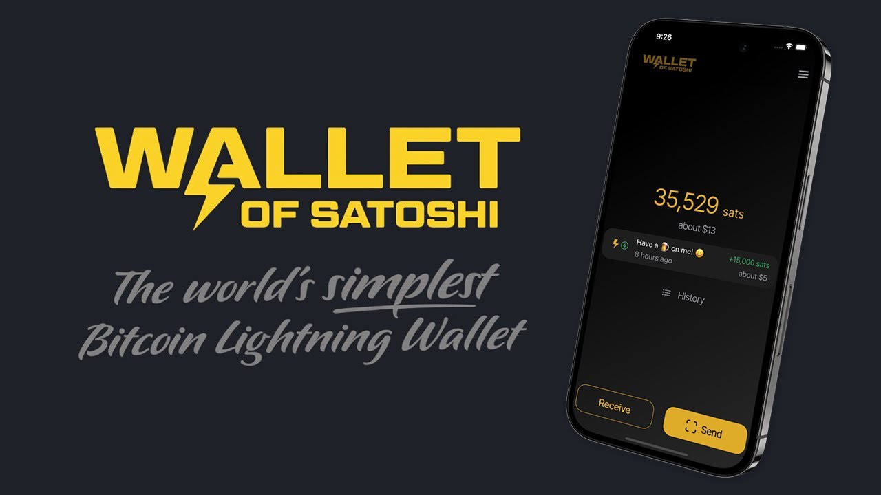 What Kind of App is the Wallet of Satoshi? Limitations and Risks of the App - ecobt.ru