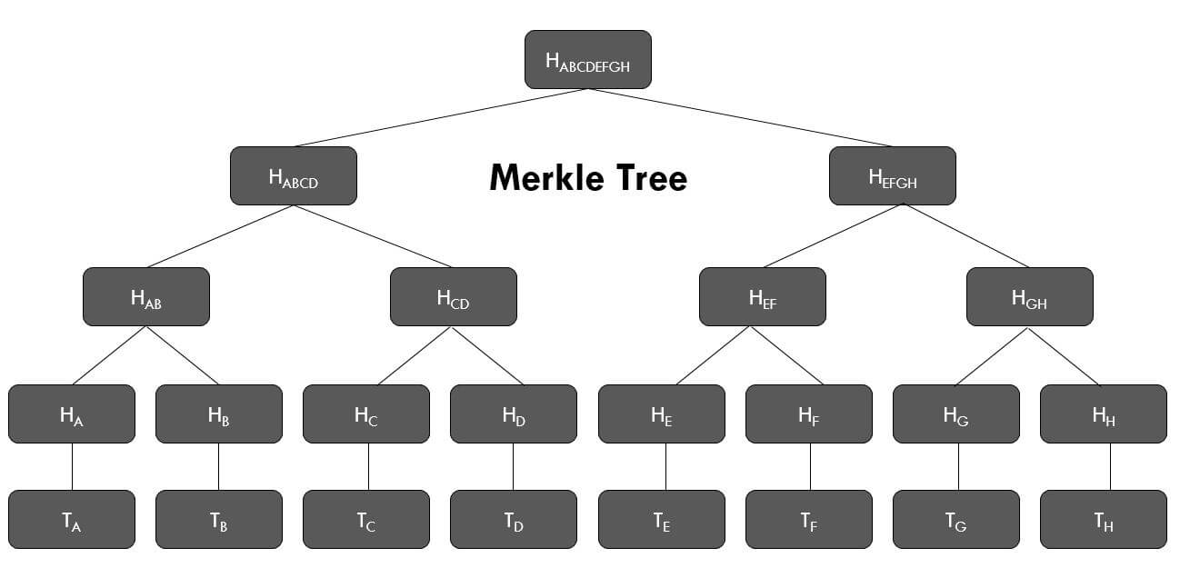 Merkle Tree in Blockchain: What it is and How it Works