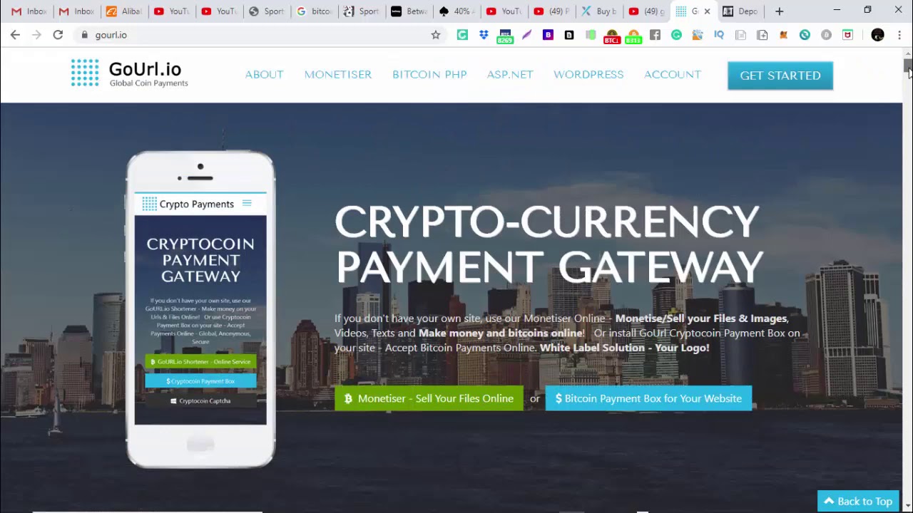 GoUrl Paid Memberships Pro - Bitcoin Payment Gateway Addon | Code Review | Potrivit