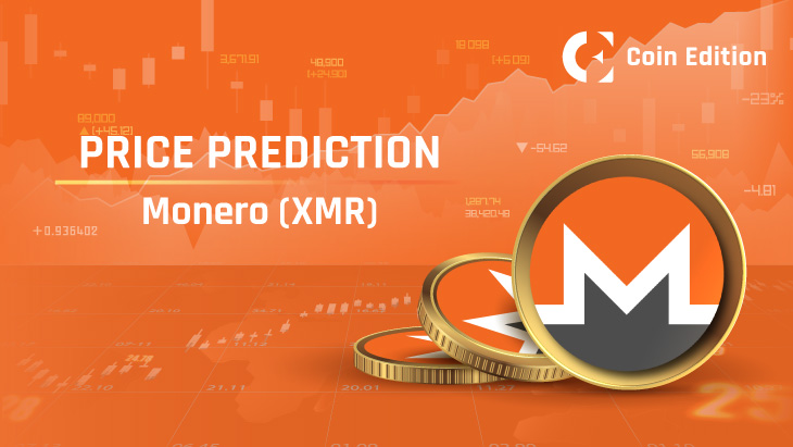 Monero Price Prediction & Forecast for , , | ecobt.ru