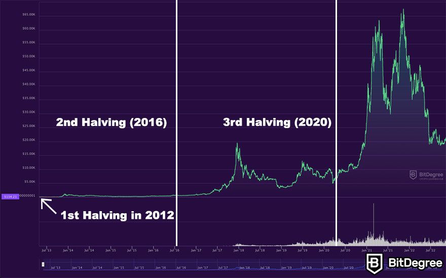 Bitcoin Halving Date & Price History