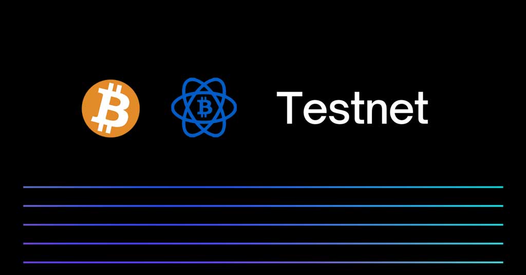 Help / Resources for connecting to testnet electrum server - Protocol - Bitcoin Cash Research