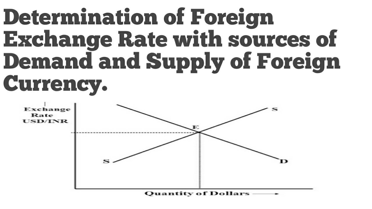 What Determines a Currency's Exchange Rate?