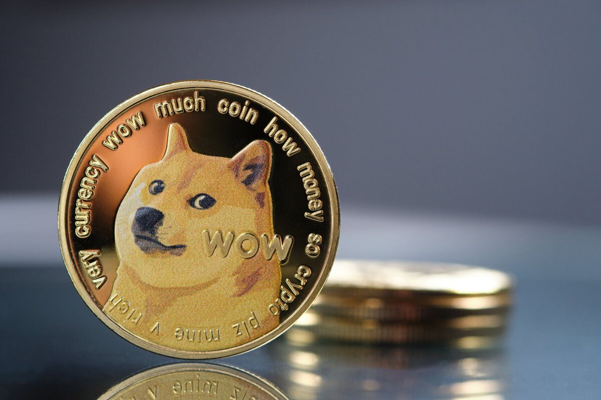 Обменять BTC на DOGE | Конвертировать Bitcoin в Dogecoin на SimpleSwap