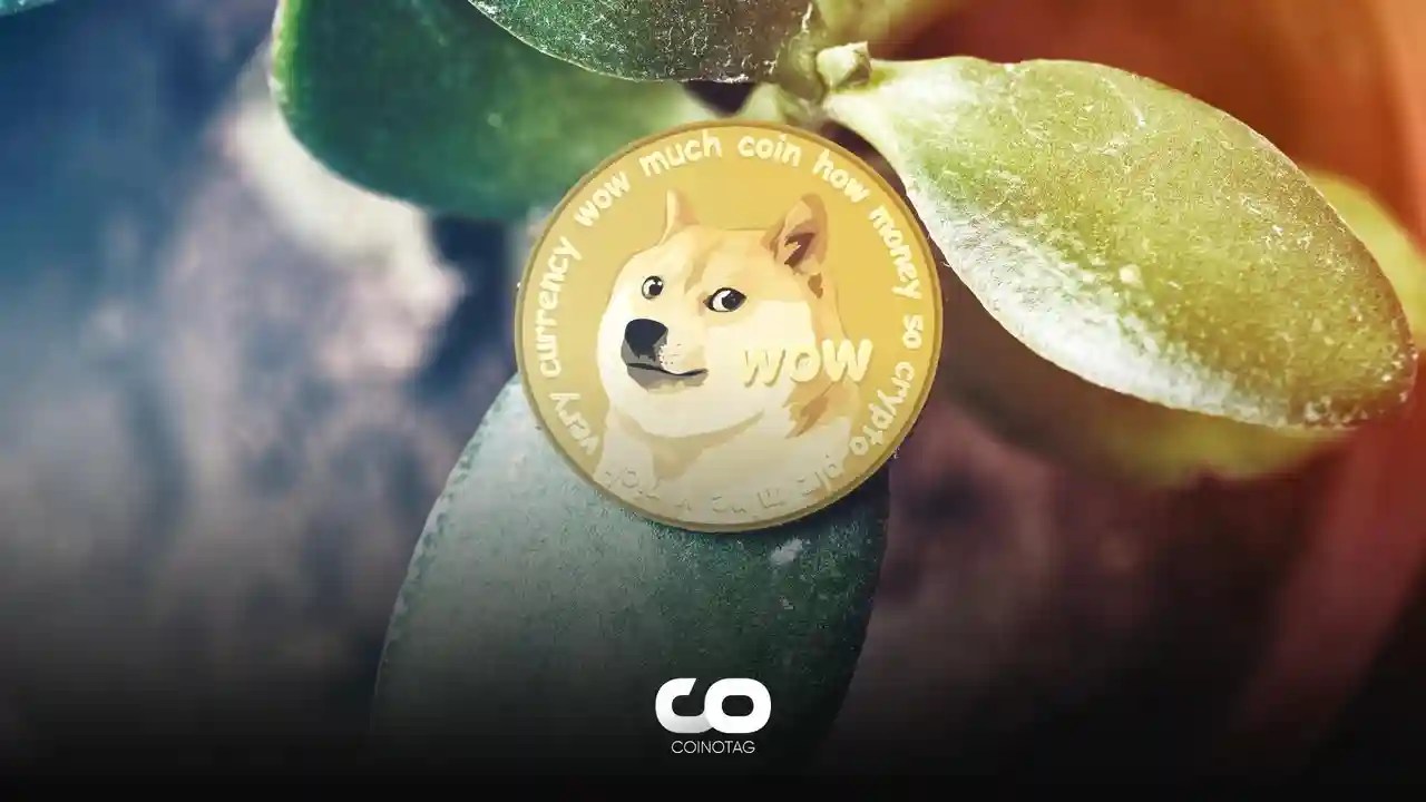 Dogecoin (DOGE) Price Prediction , – | CoinCodex