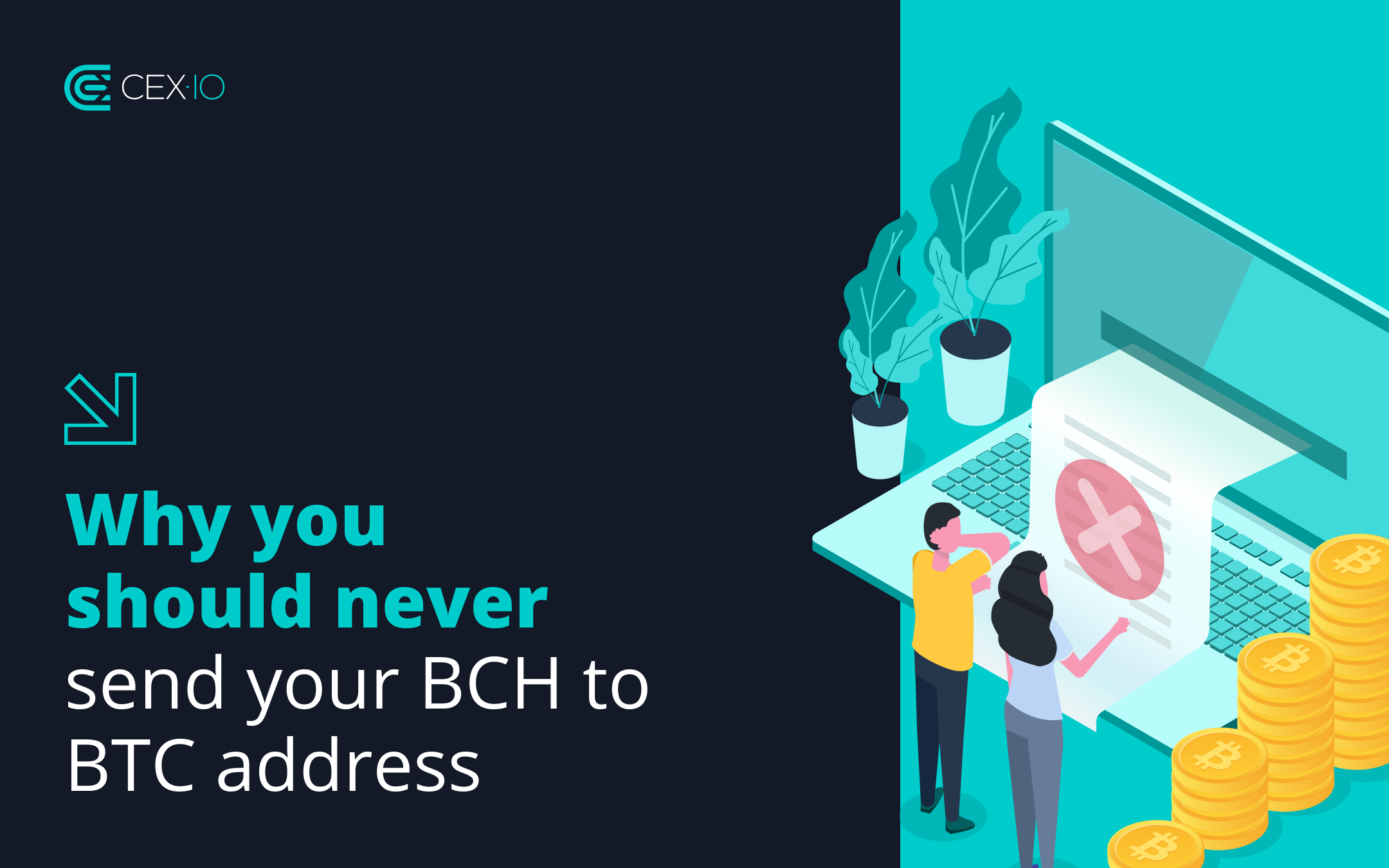 New BCH address format : Coinomi Support