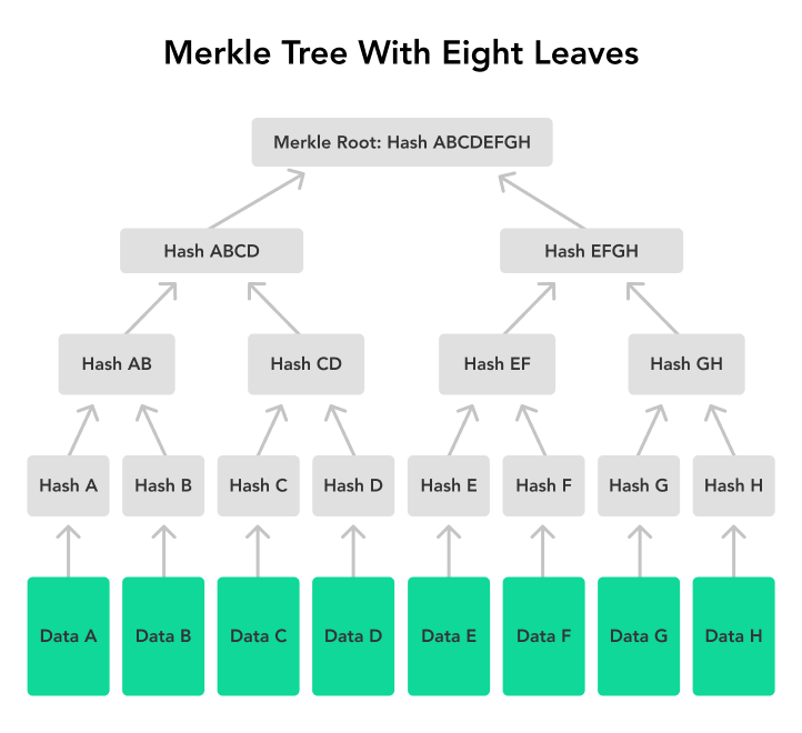 Merkle Trees | Cryptocurrency & Blockchain Technology