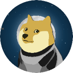 Convert 1 DOGE to INR - Dogecoin price in INR | CoinCodex