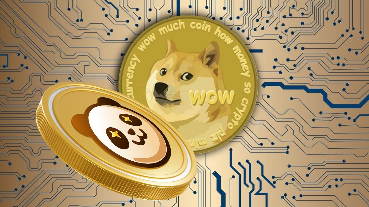 DOGE/USD (Dogecoin to United States dollar) | Coingi - Біржовий Ринок з Криптовалютами