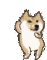 Doge Meme Dance Sound Button for Android - Download