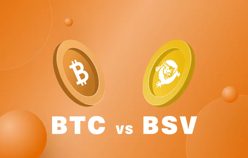 BTC vs. BCH vs. BSV: What Is The Difference? | Swaps app