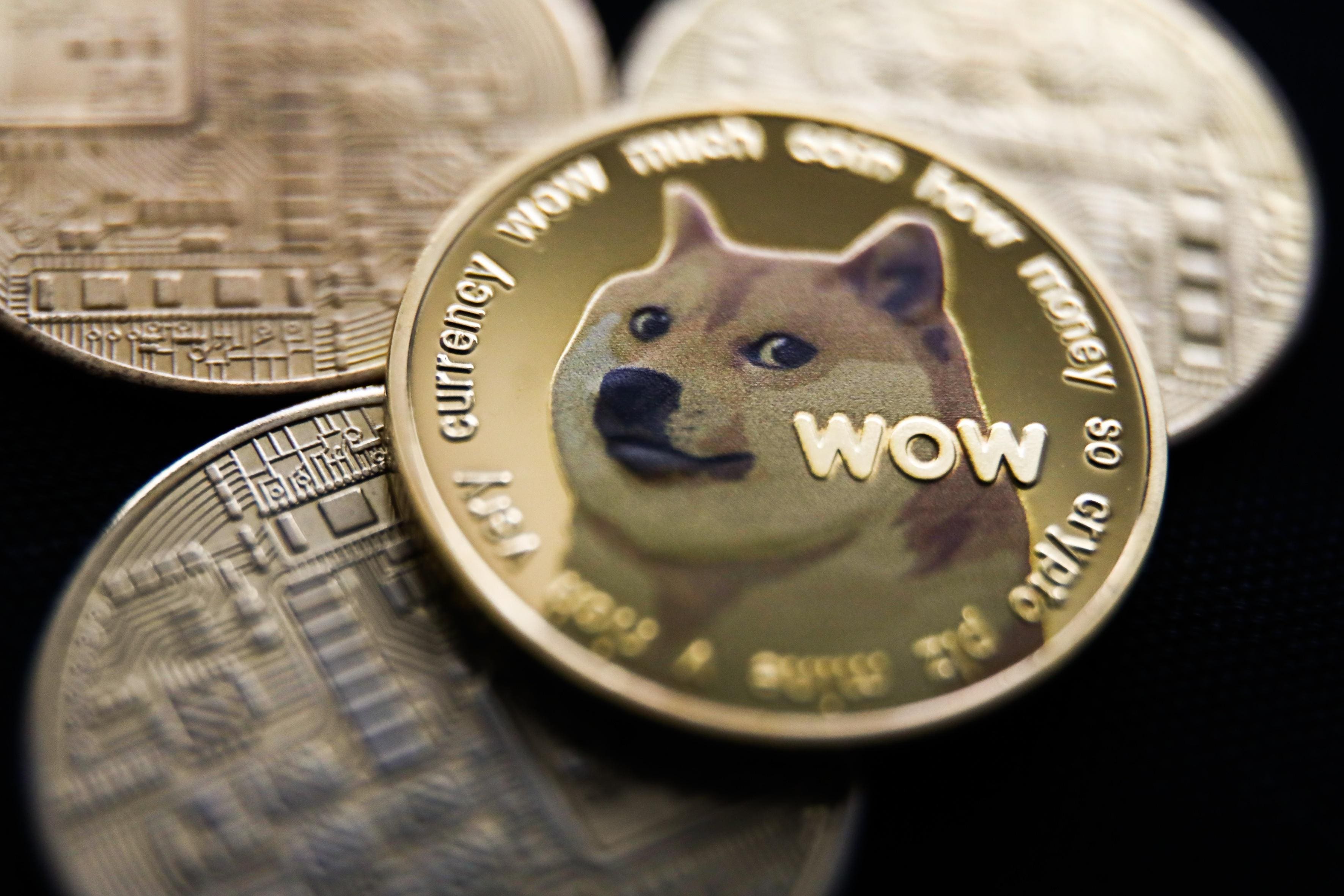 DOGE Founder Offers 