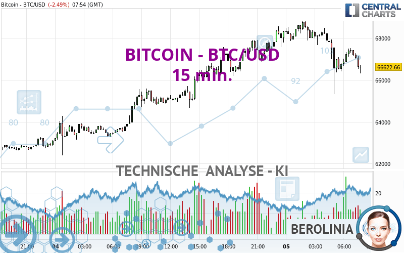 Top Richest Bitcoin Addresses and Bitcoin distribution