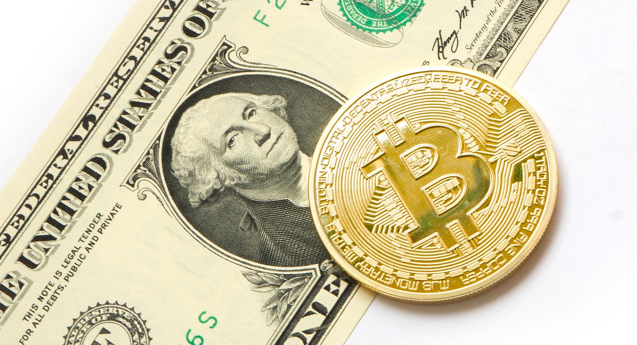 1 Bitcoin (BTC) to US Dollar (USD) Price Now | CoinCarp