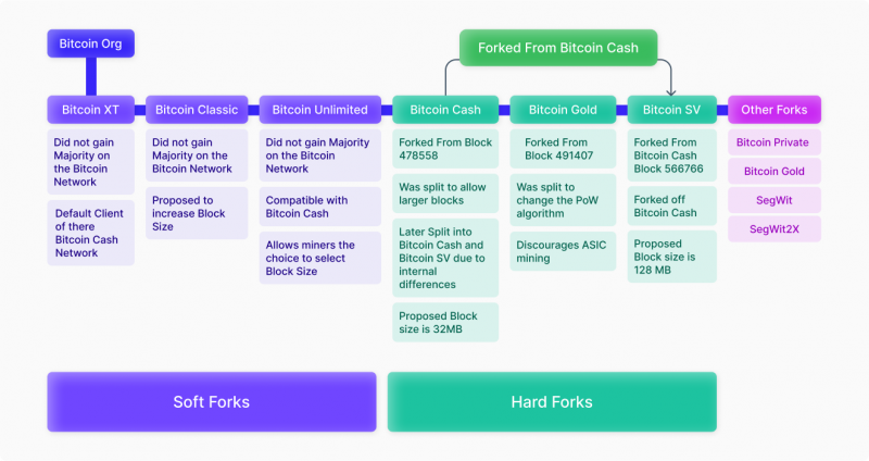 What type of Bitcoin address should I use?