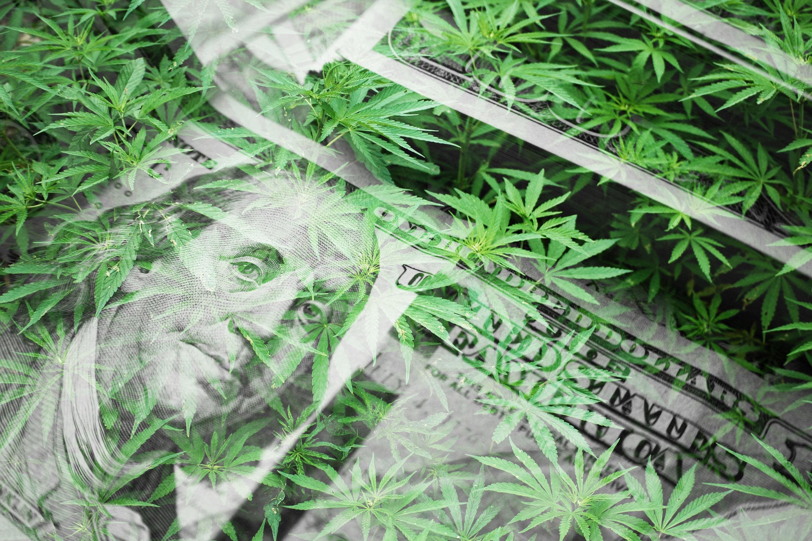 Top 10 Marijuana Stocks to Watch in 