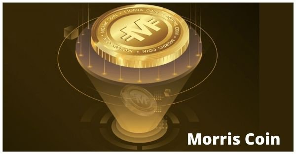 ED seizes assets worth Rs 14 crore in Morris Coin crypto scam - BusinessToday