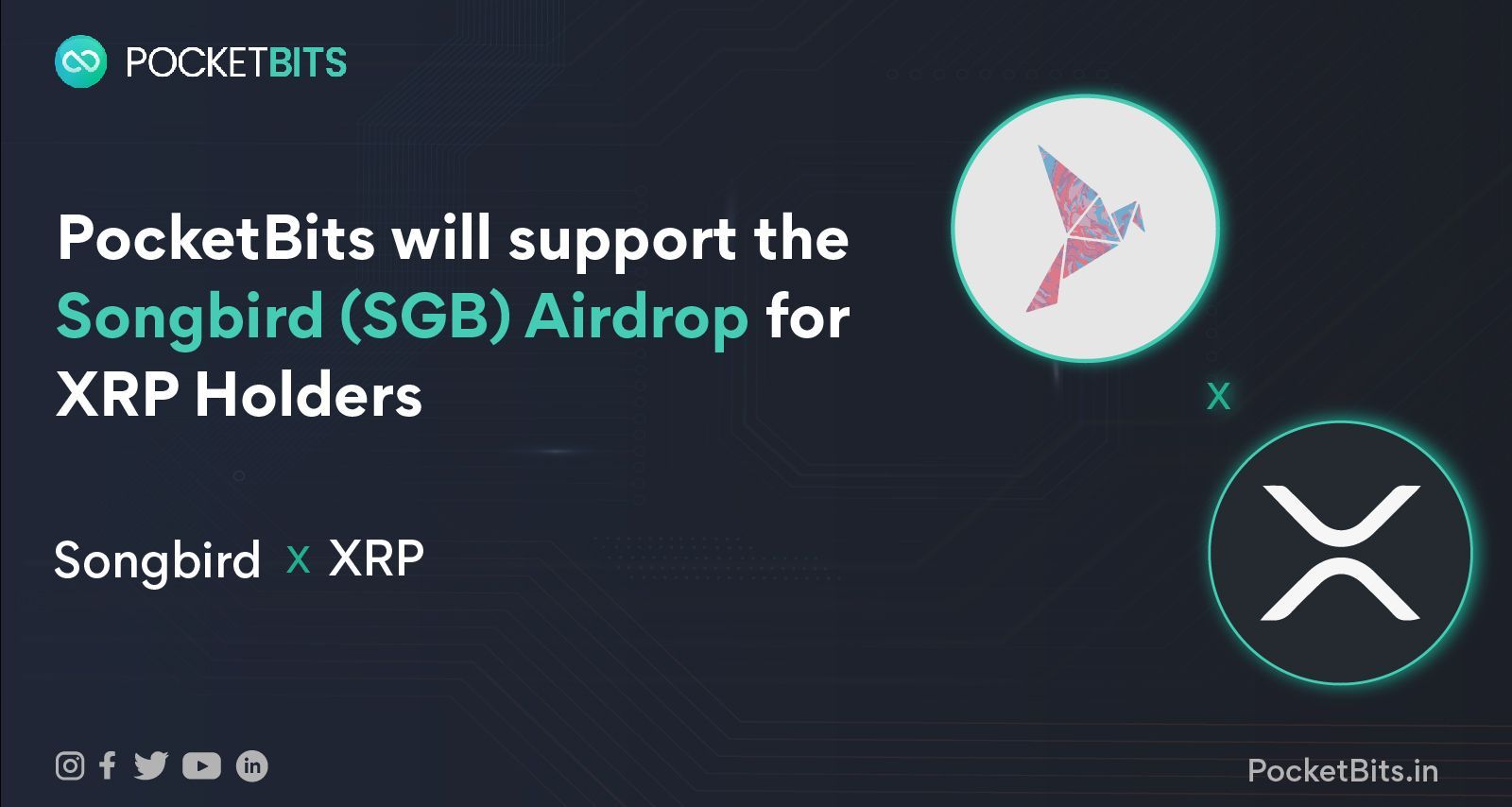 Japanese Crypto Exchange to Offer Songbird (SGB) to XRP Holders in Yen