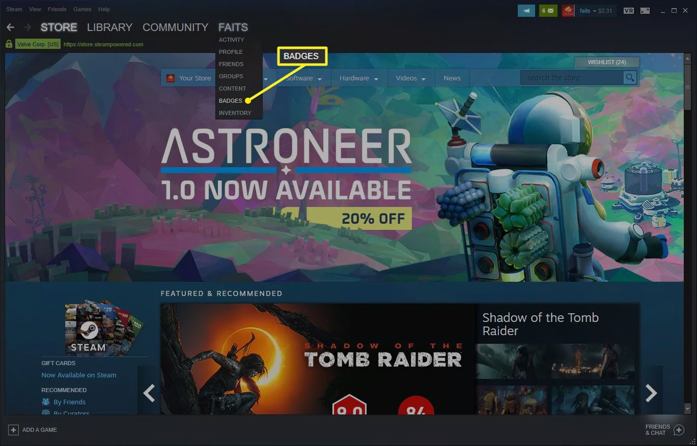 How To Get Steam Trading Cards Without Playing? – Vanity Slabs Inc