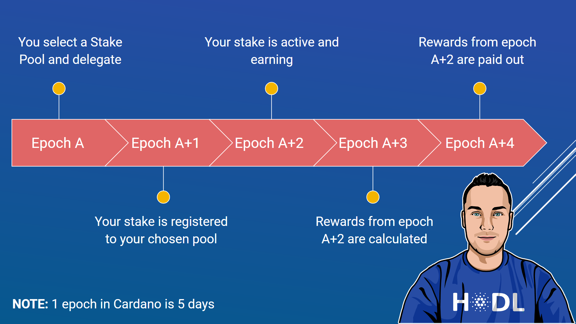 ADAtainment | Cardano ADA Staking Calculator