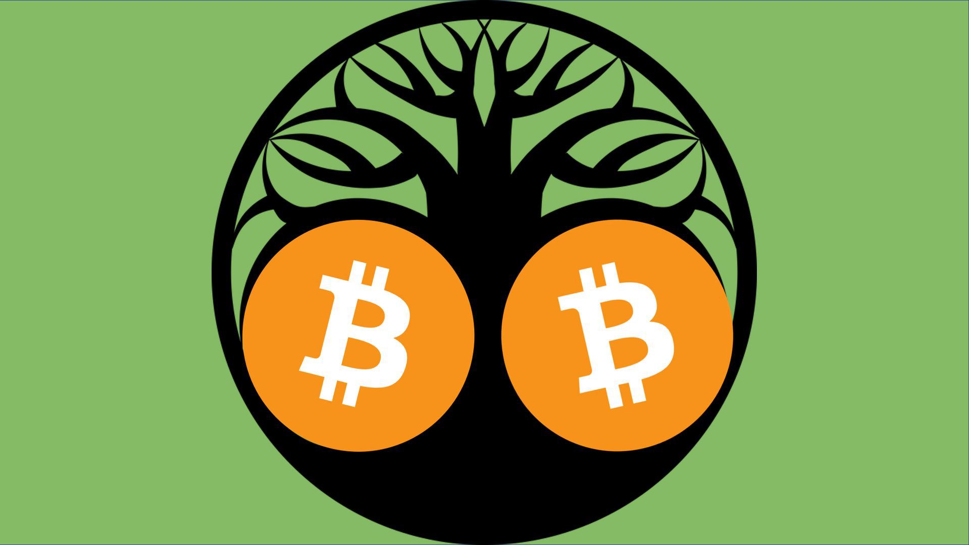 Buy Bitcoin Cash with Skrill | Skrill