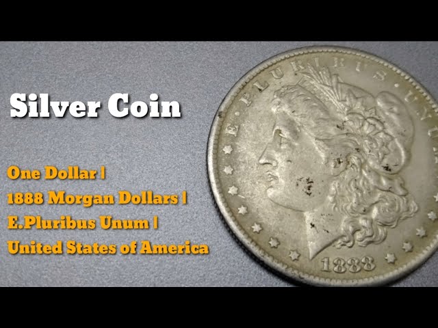 1 dollar - Morgan Dollar, USA - Coin value - ecobt.ru