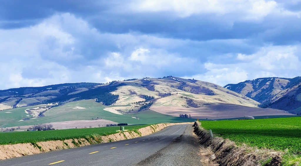 Washington State Wines At Seven Hills Winery - Featuring Merlot, Savignon Blanc