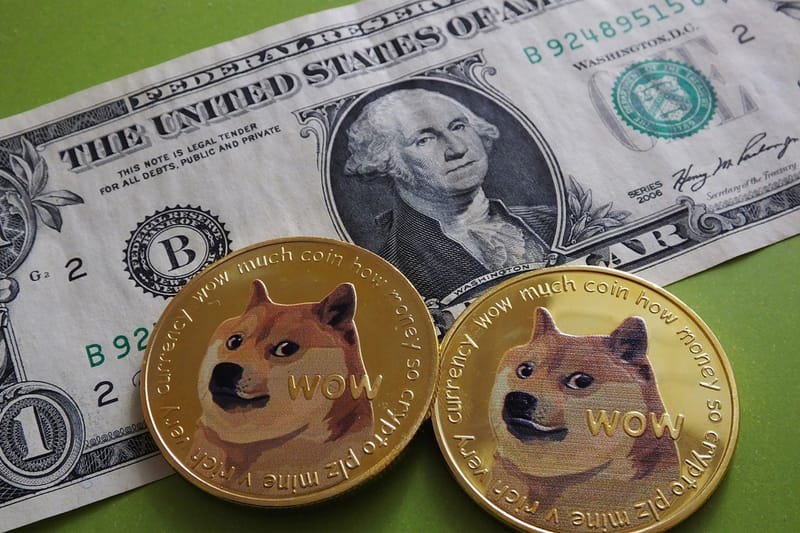 1 DOGE to USD - Dogecoins to US Dollars Exchange Rate