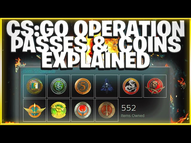 Counter-Strike: Global Offensive » Search Results » 10 year coin