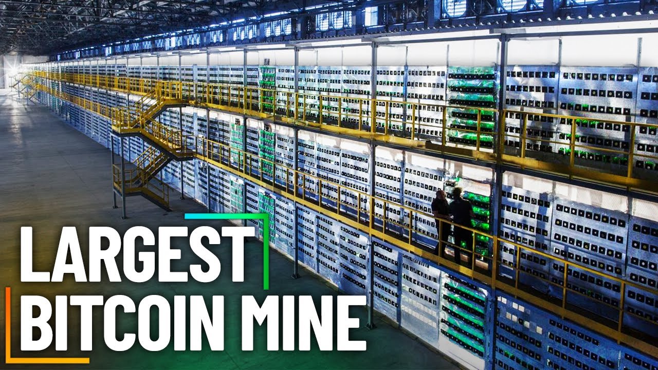 Top 6 Crypto Mining Stocks in Biggest Companies