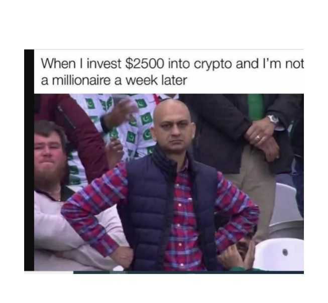 RIP Bogdanoffs, Inspiration for Crypto Memes