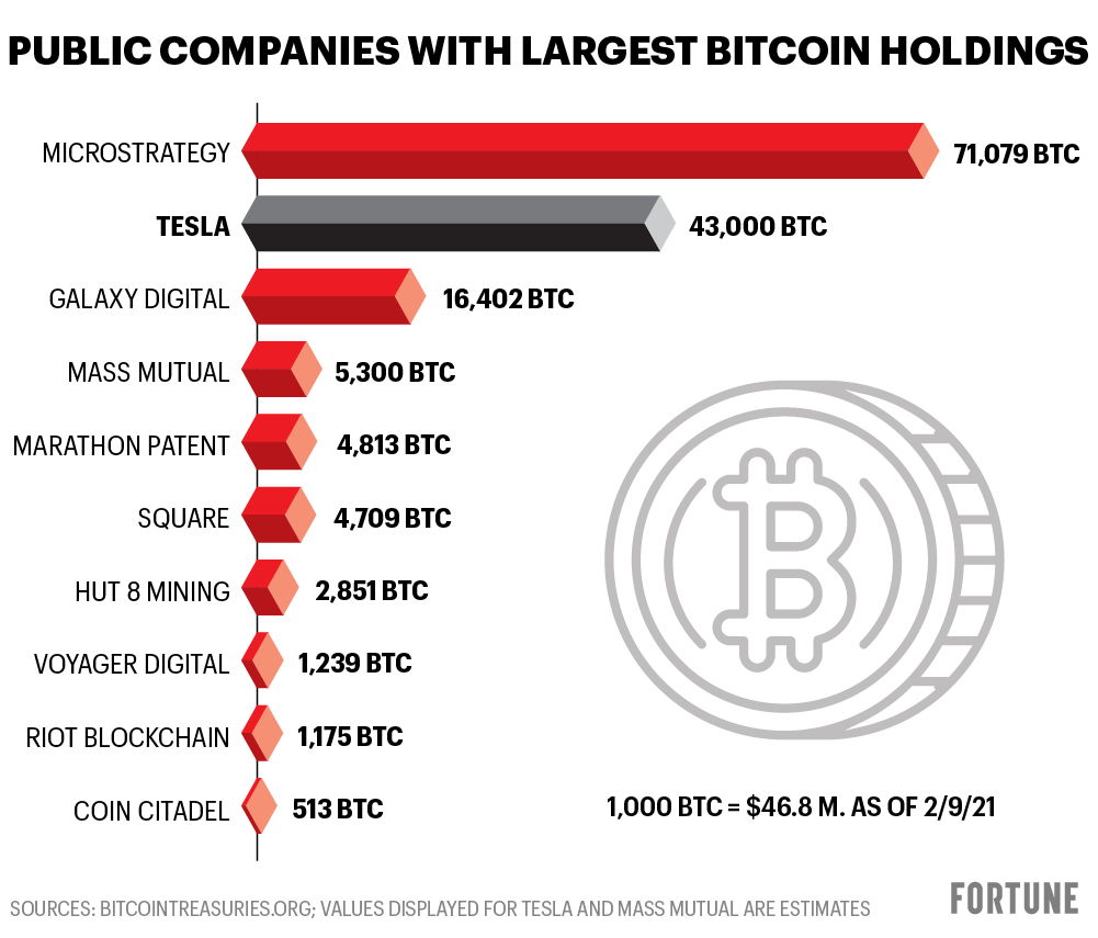 The Biggest BTC Whales: Who Owns the Most Bitcoin?