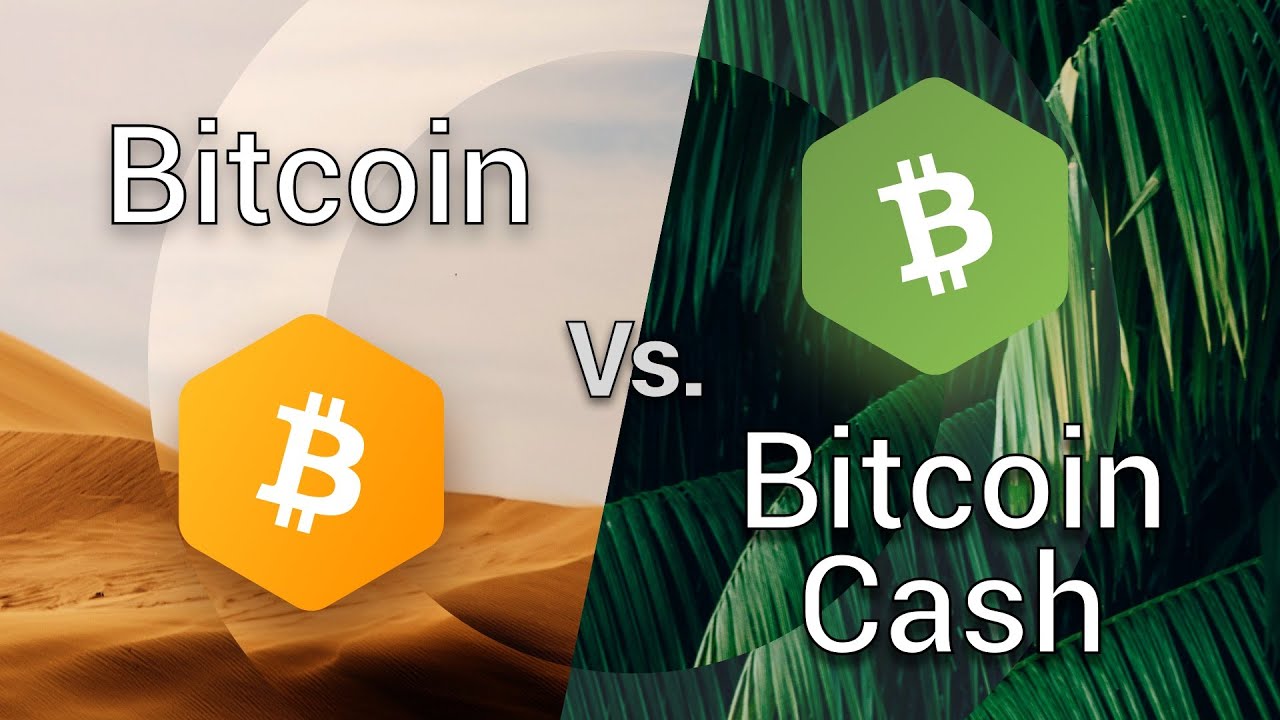 Learn to tell the difference between Bitcoin (BTC) And Bitcoin Cash (BCH)