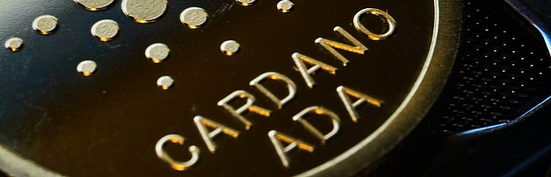 6 Best Cardano (ADA) Wallets in !
