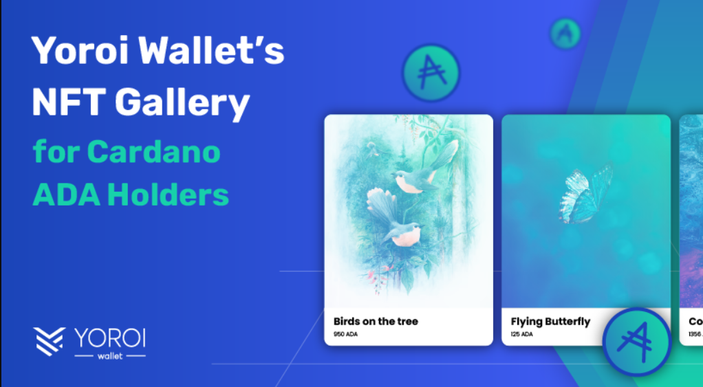 6 Best Cardano (ADA) Wallets in !