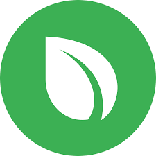 Peercoin — The Pioneer of Proof-of-Stake