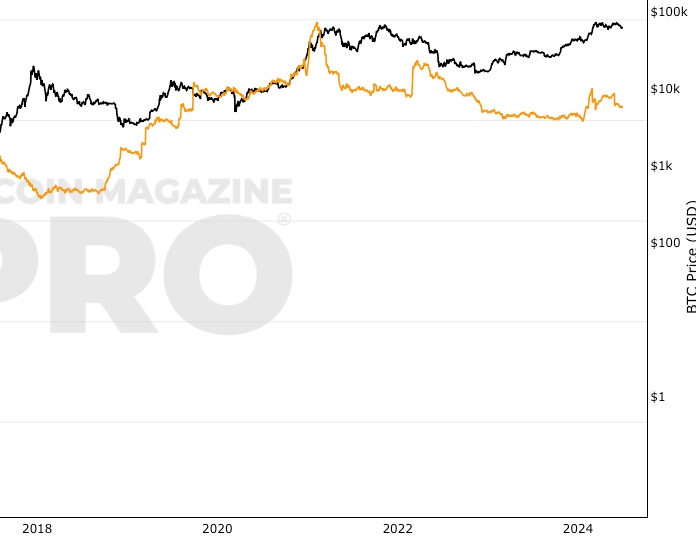 Top Richest Bitcoin Addresses and Bitcoin distribution