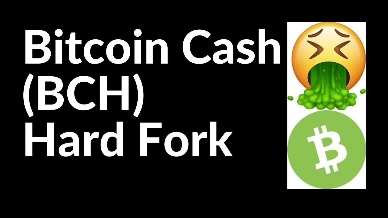 What is Bitcoin Cash? Everything you need to know about BCH | BLOX