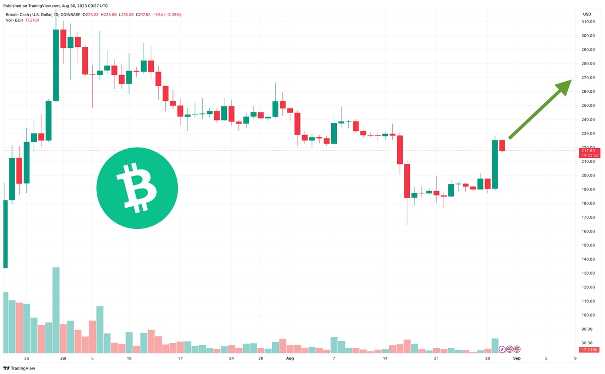 Bitcoin Cash Price Prediction up to $3, by - BCH Forecast - 